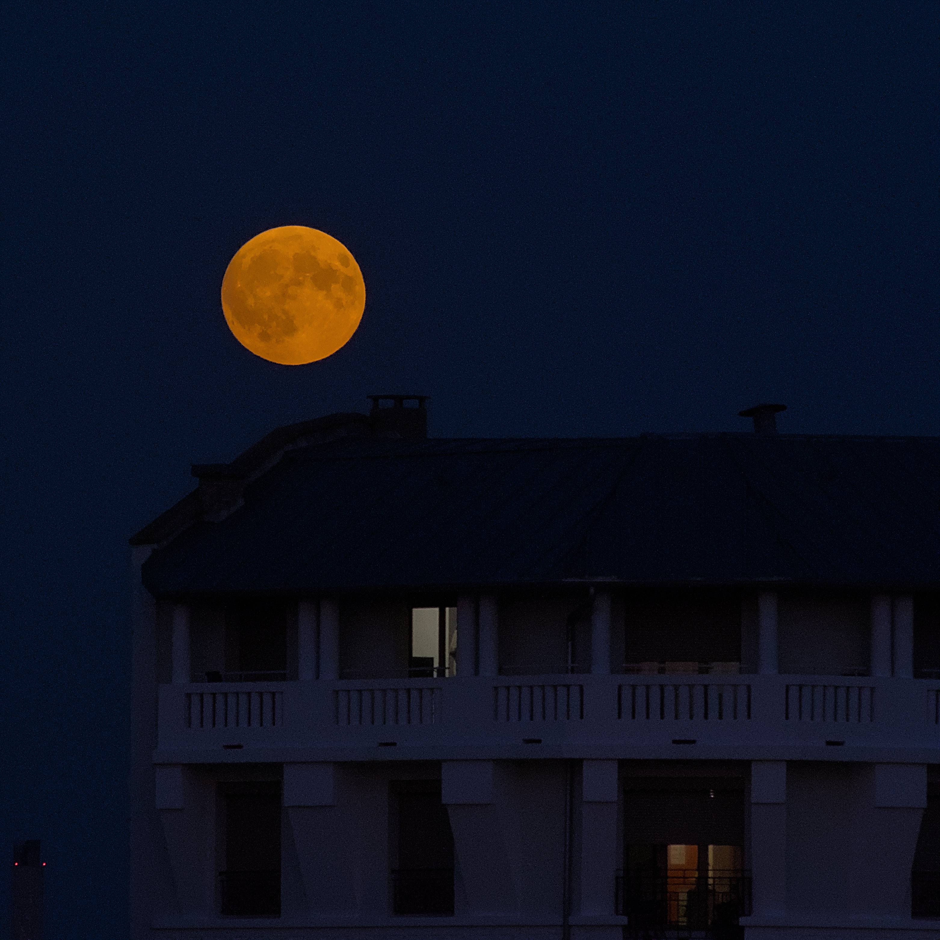 Image 7 from Divers album