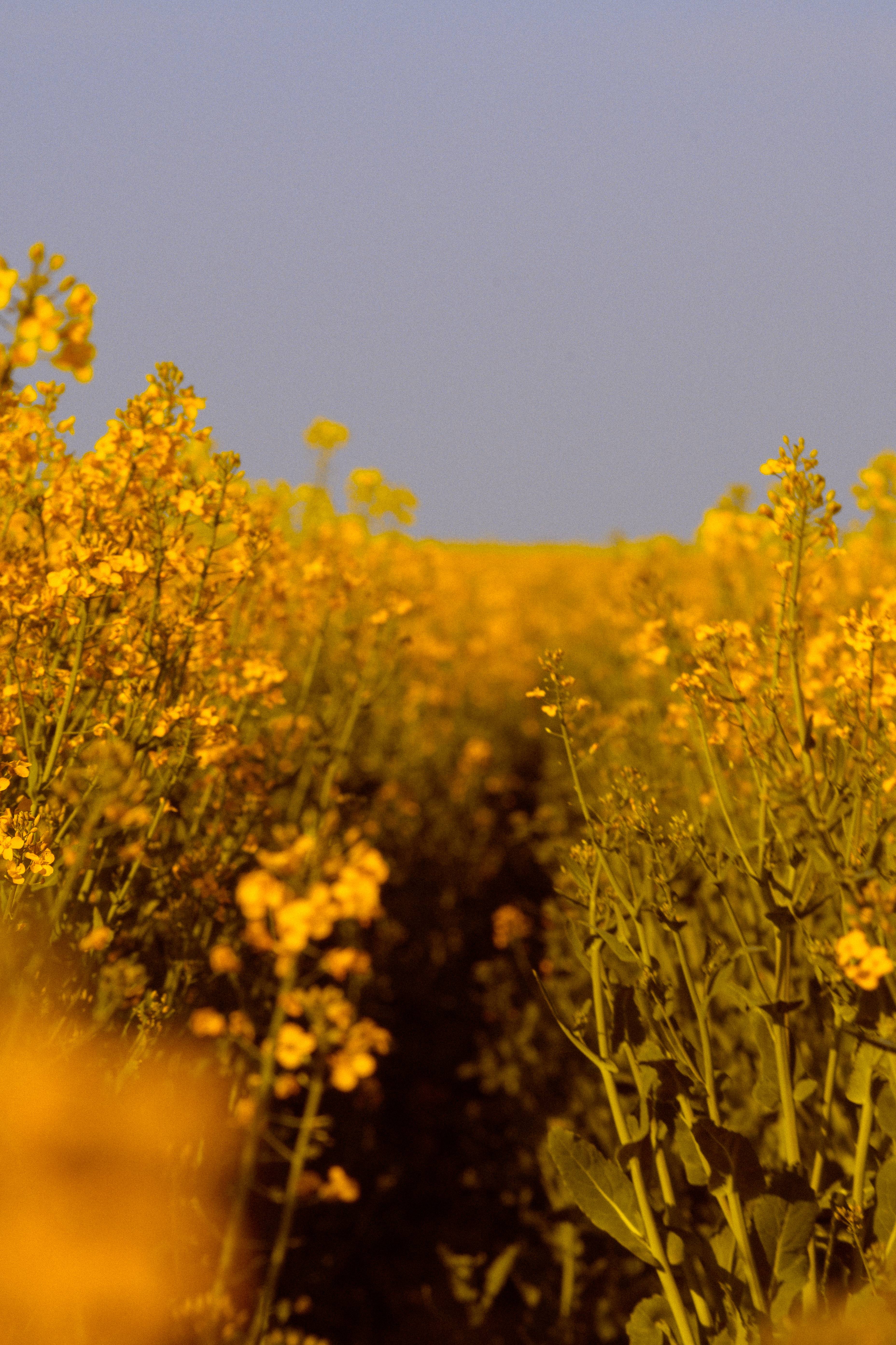 Image 3 from Divers album