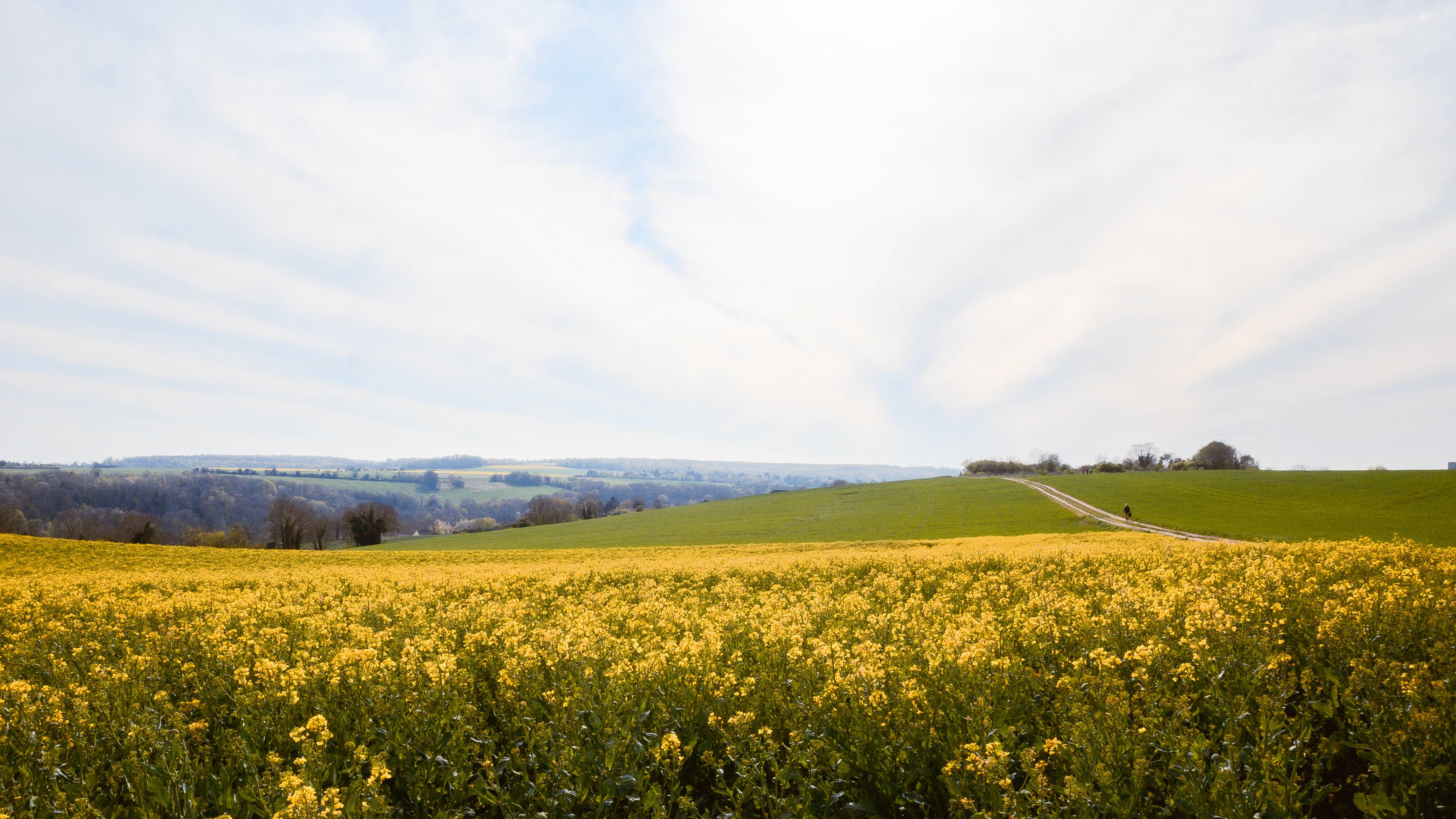 Image 1 from Divers album