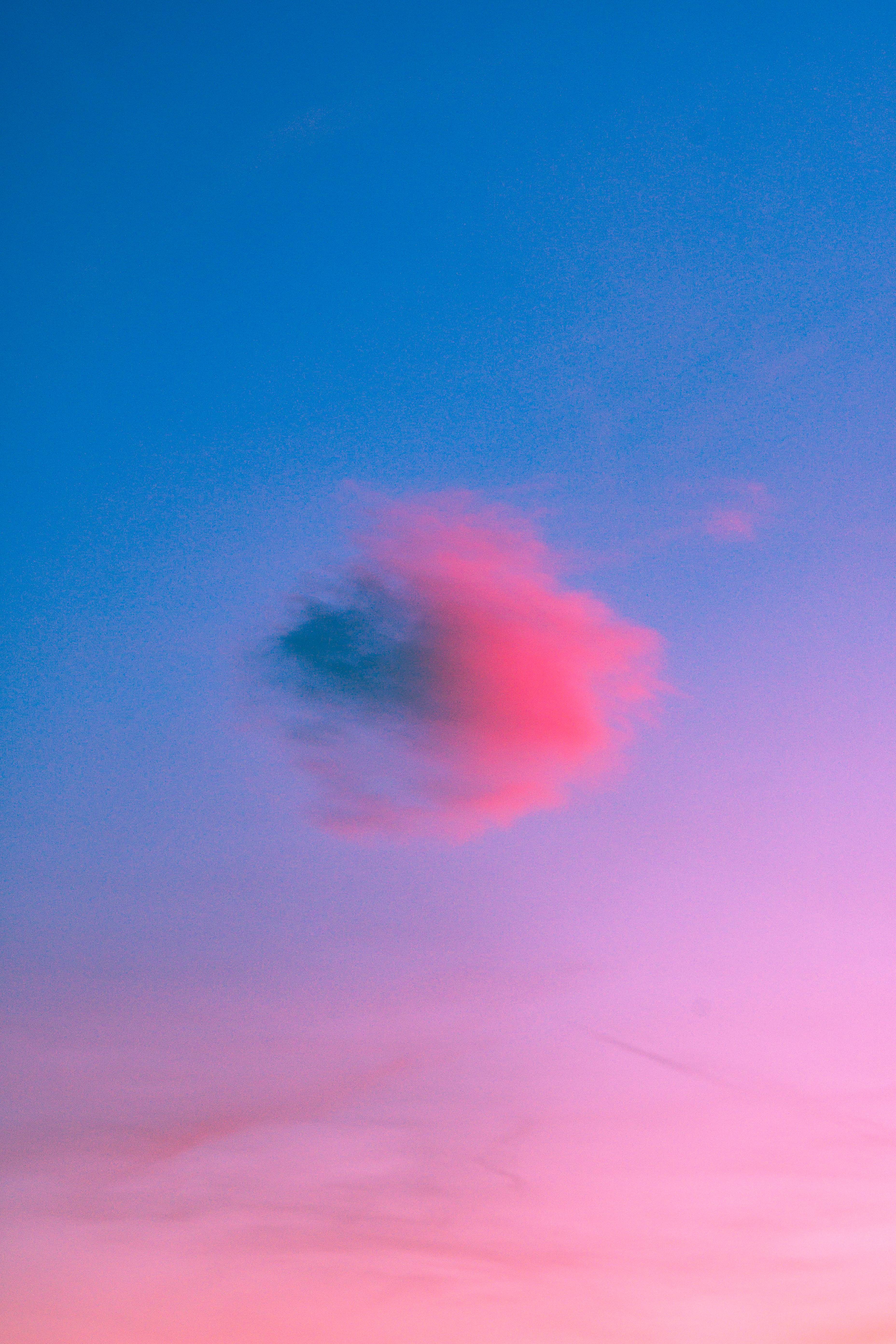 Image 8 from Divers album