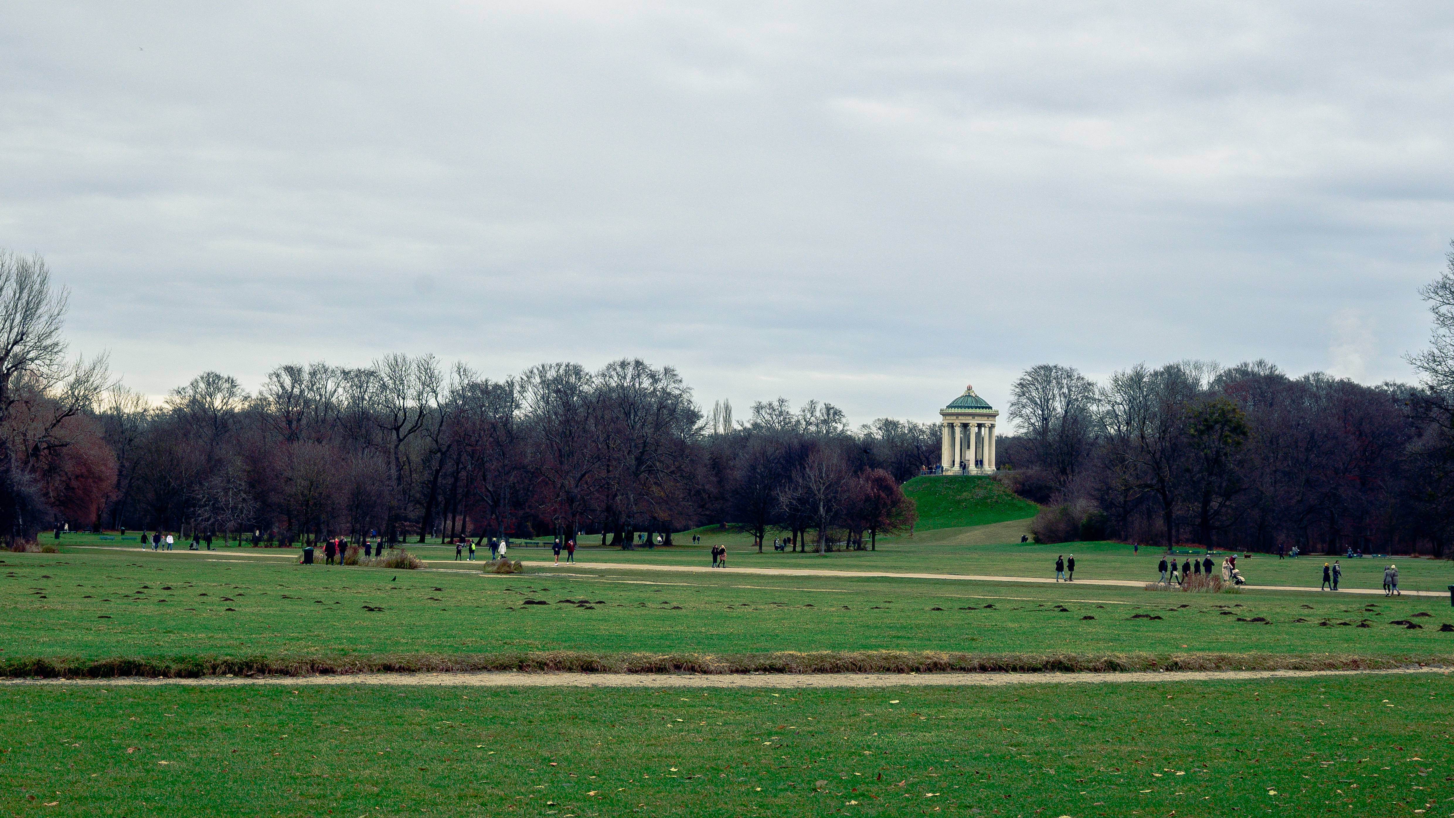 Image 5 from Divers album